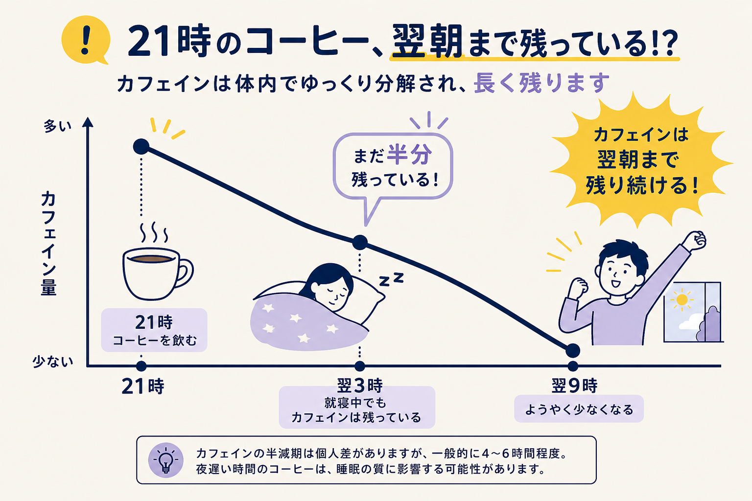 21時にコーヒーを飲んだあと、体内のカフェインがなかなか抜けない様子を折れ線グラフで表現したい。横軸は21時・翌3時・翌9時の3点でラベルを添える、縦軸はカフェイン量。21時が最も高く、翌3時でまだ半分ほど残っており、翌9時にようやく少なくなる右下がりの曲線。21時にはコーヒーカップのアイコン、翌3時には就寝中の人のアイコンと「まだ半分残っている」ことを示す強調マーカー、翌9時には起きて活動している人のイラストを添える。カフェインが翌朝まで体に残り続けることへの驚きを伝える構図にしたい。