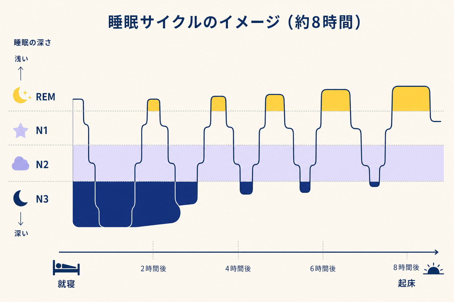 横長のタイムライン。横軸は「就寝」から「起床」まで（8時間分）。縦軸は睡眠の深さ（上からREM・N1・N2・N3）。波形はN3が前半の2サイクルに多く、後半はREMの割合が増えていく。各ステージをネイビー（N3）・ラベンダー（N2）・イエロー（REM）・クリーム背景で色分け。数字や軸ラベルは最小限、視覚的な波のリズムを伝える構成。