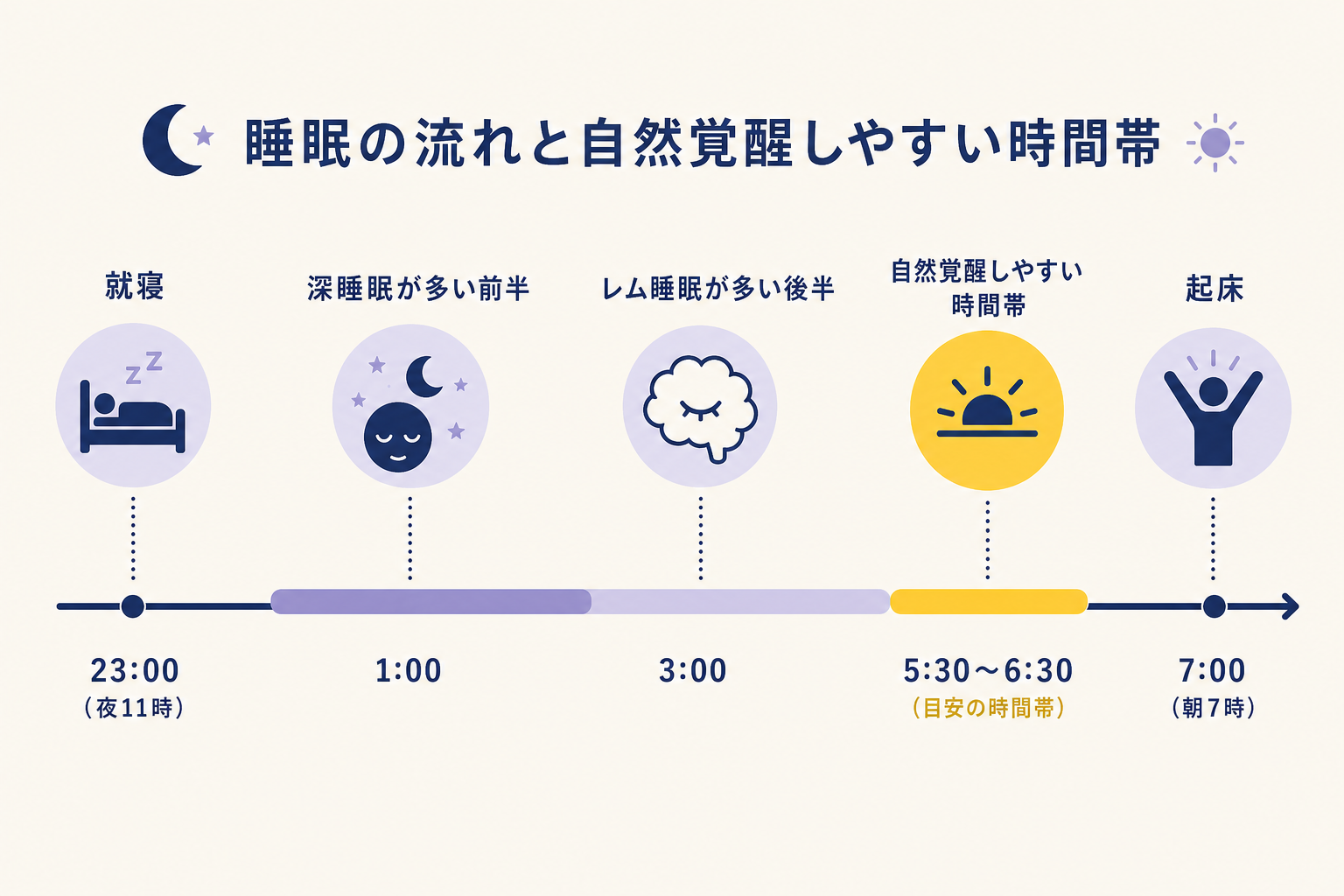 タイムラインのイラスト。横軸は左から右に時間（夜11時〜朝7時）。タイムライン上に「就寝」「深睡眠が多い前半」「レム睡眠が多い後半」「自然覚醒しやすい時間帯（イエローのマーカー）」「起床」の5点をシンプルなアイコンと短いラベルで示す。色はネイビー・ラベンダー・イエロー。背景はクリーム。シンプルに時間の流れと覚醒しやすいゾーンだけを伝える構成にする。